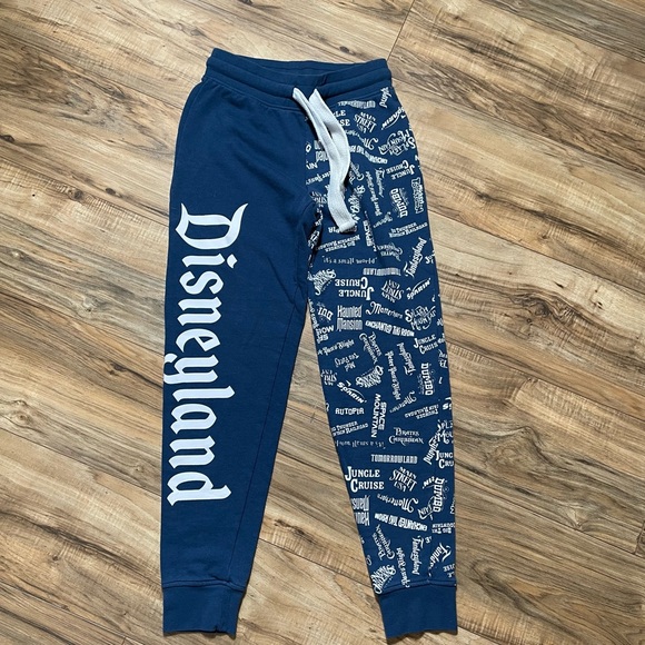 Disney Pants - Disney blue and white jogger sweats with all of disneys ride names on it size xs
